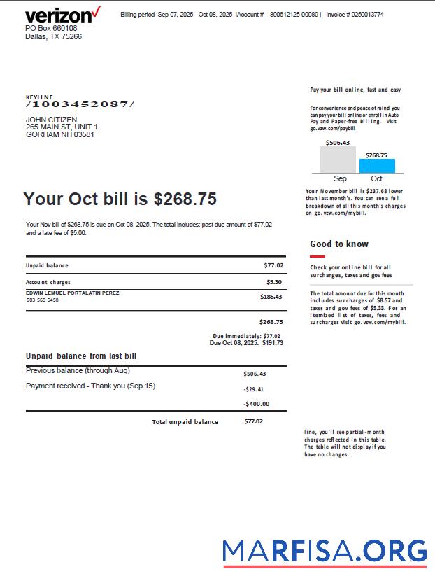 Printable USA Verizon utility bill template in Word and PDF formats, version 3
